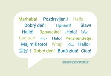 Icon Multilingual Education System Products